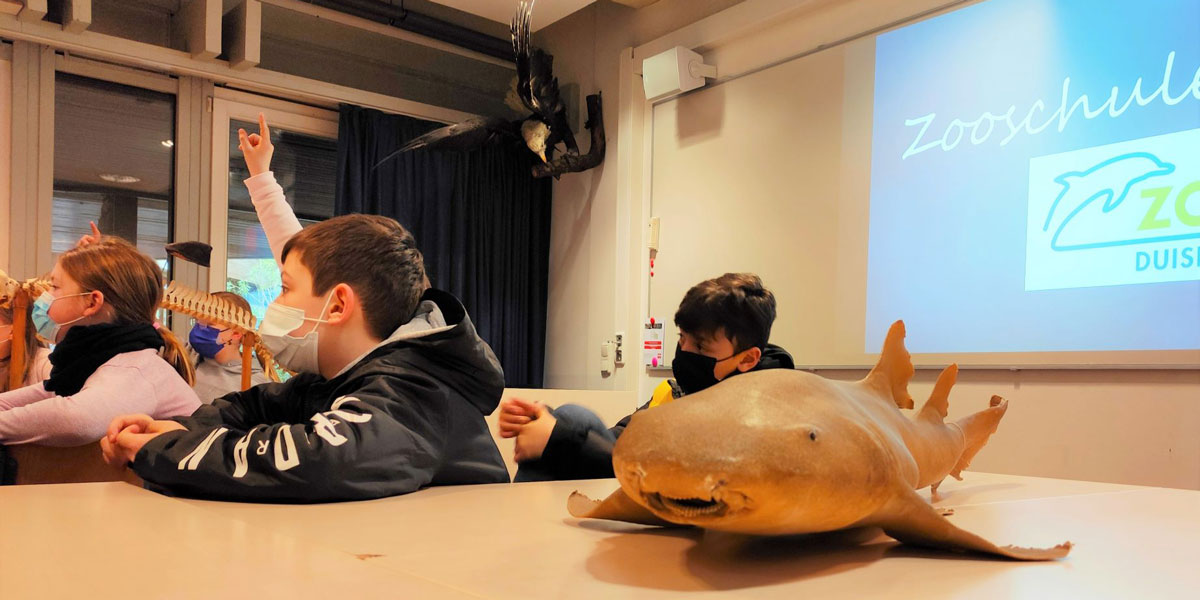 Read more about the article Zu Besuch in der Zooschule